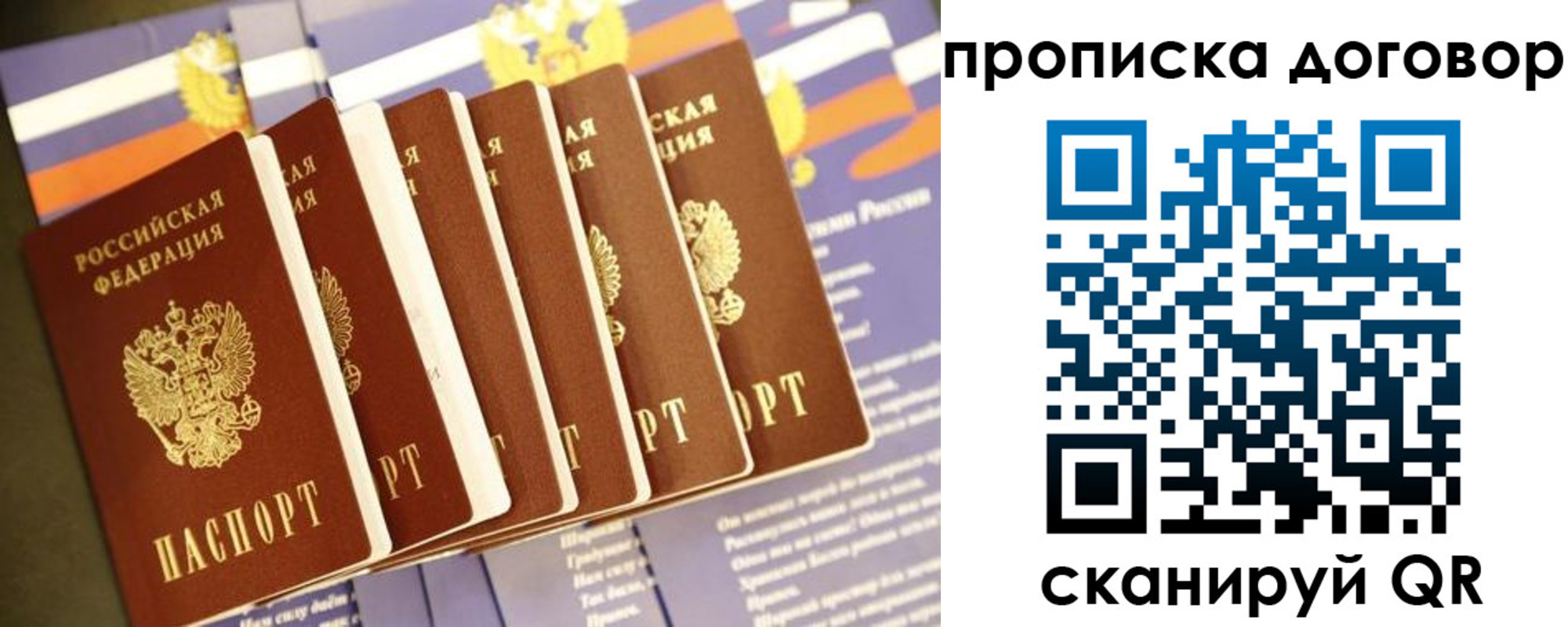 прописка для школы в Владимире